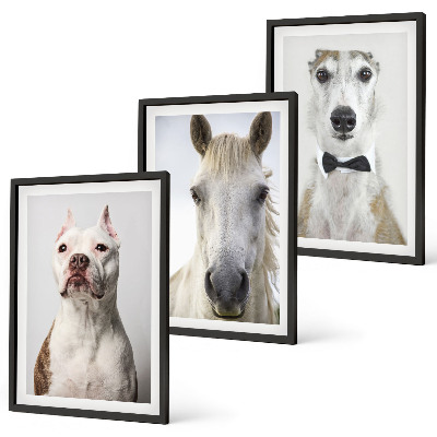 Set of 3 framed wall art pieces Portraits of dogs and horses elegantly