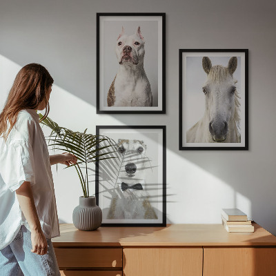 Set of 3 framed wall art pieces Portraits of dogs and horses elegantly