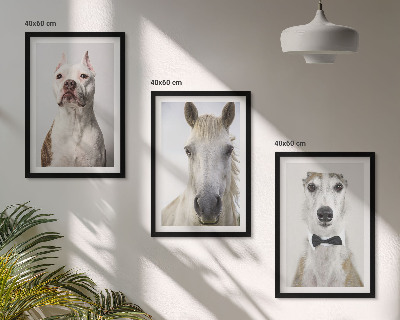 Set of 3 framed wall art pieces Portraits of dogs and horses elegantly