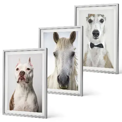 Set of 3 framed wall art pieces featuring elegant portraits of dogs and horses