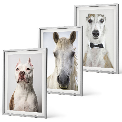 Set of 3 framed wall art pieces Portraits of dogs and horses elegantly
