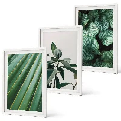 Aesthetic tropical leaves framed wall art set of 3 pieces