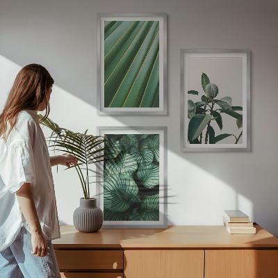 Set of 3 framed wall art pieces Aesthetic tropical leaves