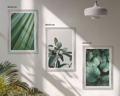 Set of 3 framed wall art pieces Aesthetic tropical leaves