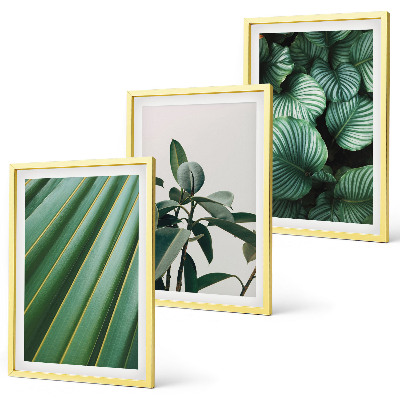Set of 3 framed wall art pieces Aesthetic tropical leaves