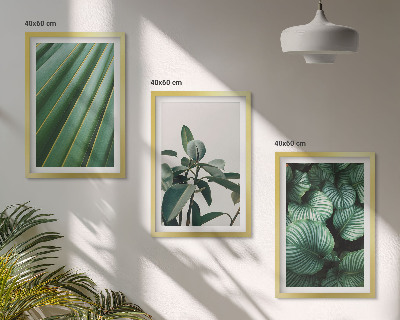Set of 3 framed wall art pieces Aesthetic tropical leaves