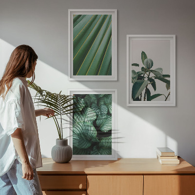 Set of 3 framed wall art pieces Aesthetic tropical leaves