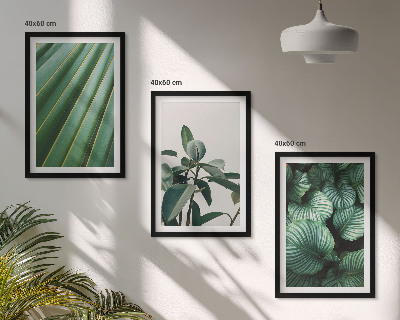 Set of 3 framed wall art pieces Aesthetic tropical leaves