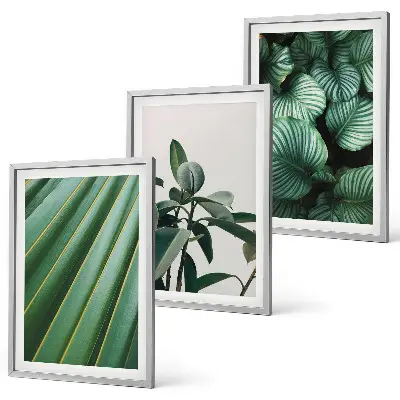 Aesthetic tropical leaves framed wall art set of 3 pieces