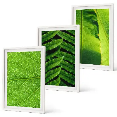 Tropical leaves macro photography wall art set 