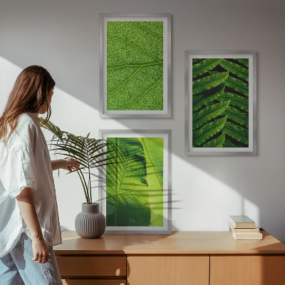 Wall art set Tropical leaves macro photography