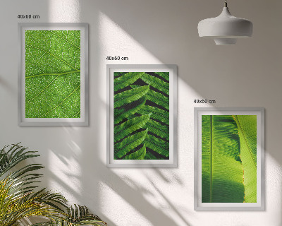 Wall art set Tropical leaves macro photography