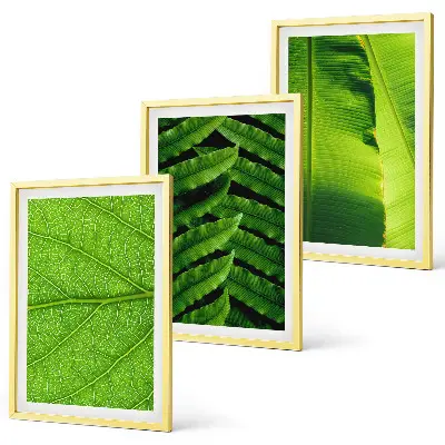 Tropical leaves macro photography wall art set 