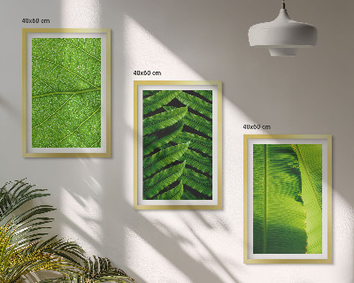 Wall art set Tropical leaves macro photography