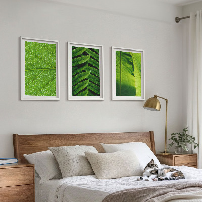 Wall art set Tropical leaves macro photography