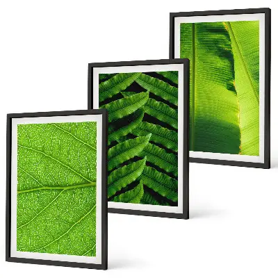 Tropical leaves macro photography wall art set 