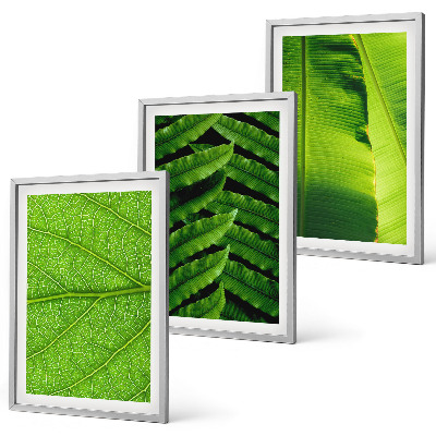 Wall art set Tropical leaves macro photography