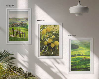 Wall art set Italian citrus and hills