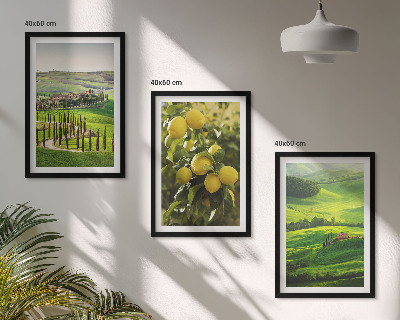 Wall art set Italian citrus and hills