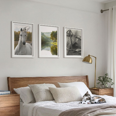 Set of 3 framed wall art pieces White horses river nature
