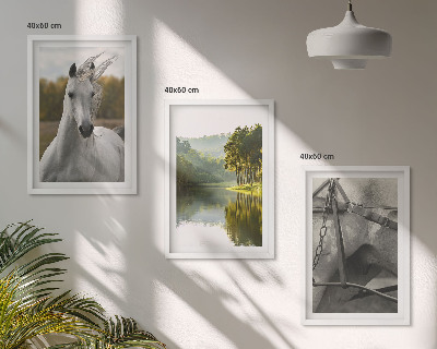 Set of 3 framed wall art pieces White horses river nature