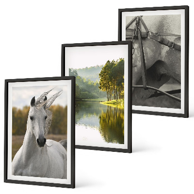 Set of 3 framed wall art pieces White horses river nature