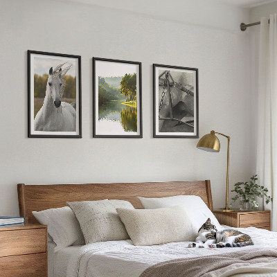 Set of 3 framed wall art pieces White horses river nature