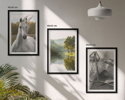 Set of 3 framed wall art pieces White horses river nature