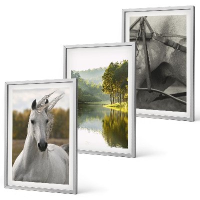 Set of 3 framed wall art pieces White horses river nature
