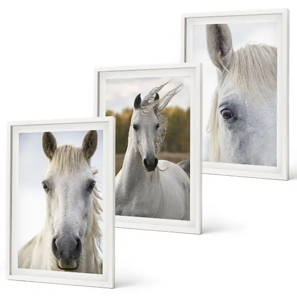 White horses in nature set of 3 framed wall art pieces