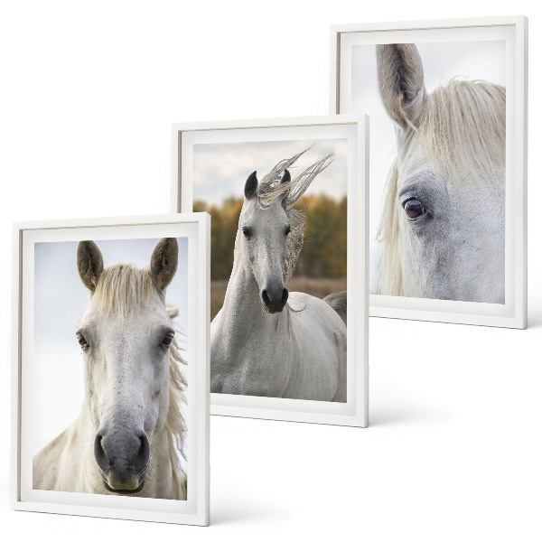 Set of 3 framed wall art pieces White horses in nature