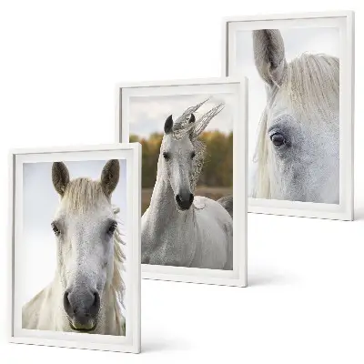 White horses in nature set of 3 framed wall art pieces