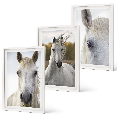 Set of 3 framed wall art pieces White horses in nature