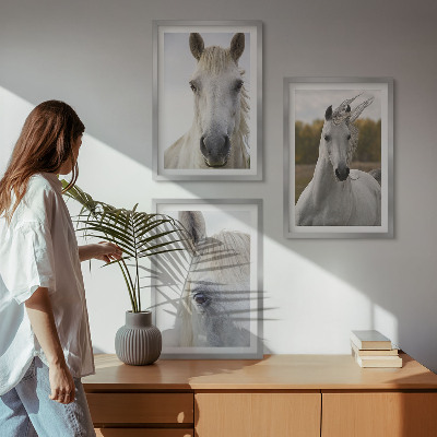 Set of 3 framed wall art pieces White horses in nature