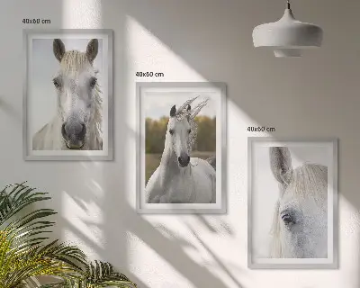 White horses in nature set of 3 framed wall art pieces