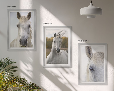 Set of 3 framed wall art pieces White horses in nature