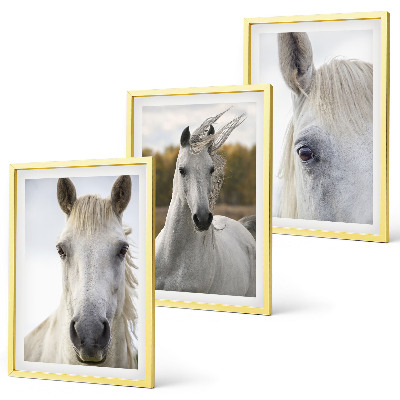 Set of 3 framed wall art pieces White horses in nature
