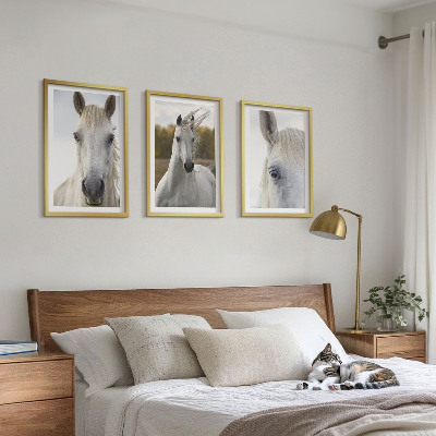 Set of 3 framed wall art pieces White horses in nature