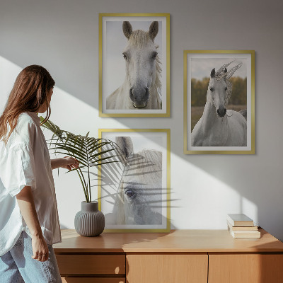 Set of 3 framed wall art pieces White horses in nature