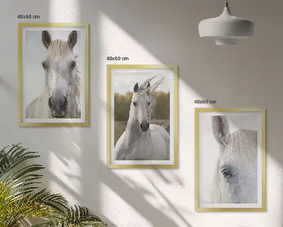 White horses in nature set of 3 framed wall art pieces