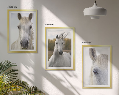 Set of 3 framed wall art pieces White horses in nature