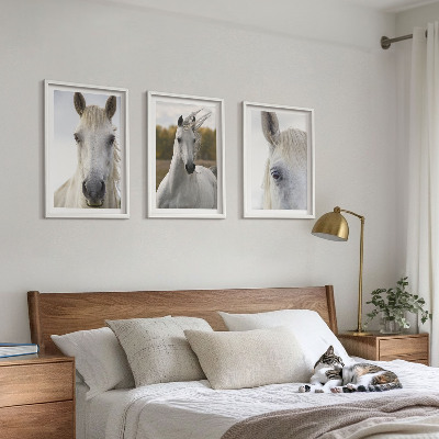 Set of 3 framed wall art pieces White horses in nature