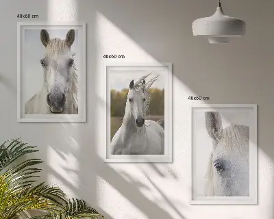 White horses in nature set of 3 framed wall art pieces
