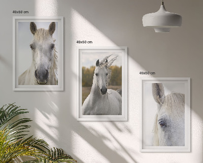 Set of 3 framed wall art pieces White horses in nature