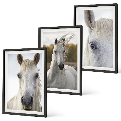 Set of 3 framed wall art pieces White horses in nature