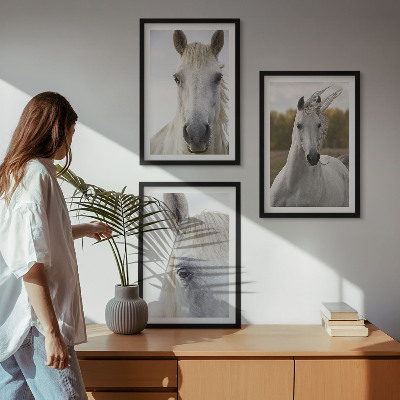 Set of 3 framed wall art pieces White horses in nature