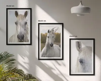 White horses in nature set of 3 framed wall art pieces