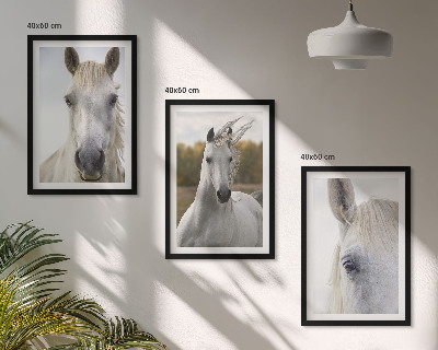 Set of 3 framed wall art pieces White horses in nature