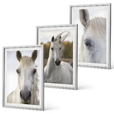 White horses in nature set of 3 framed wall art pieces