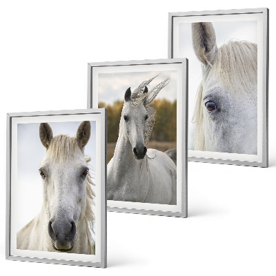 Set of 3 framed wall art pieces White horses in nature